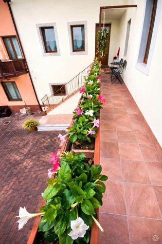 Affitto turistico pomarolo in Pomarolo