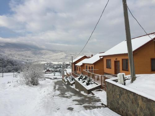 Solnce Karpat - image 12