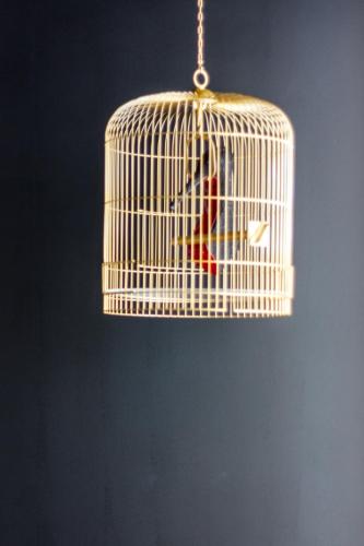 RM The Experience - Small Portuguese Hotels