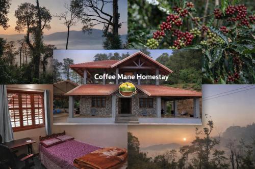 Ümbrus, Coffee Mane in Urubage