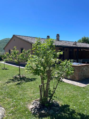 Utvendig, Eclissi casa vacanza LUNA in Panicale