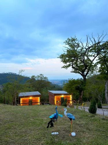 Windy Hills – khách sạn tại Motsameta