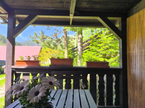 Skats, Privát Evi 166 (Privat Evi 166) in Vysna Boca