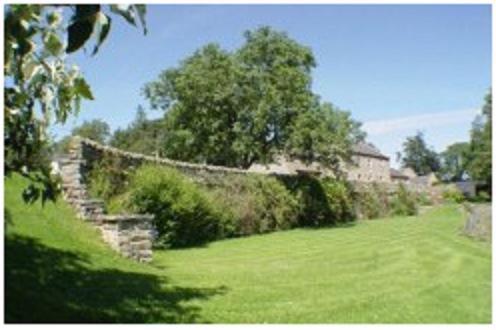 Yellow House - image 14