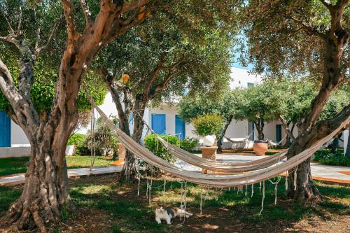 Hotel Hara Ilios Village - image 25