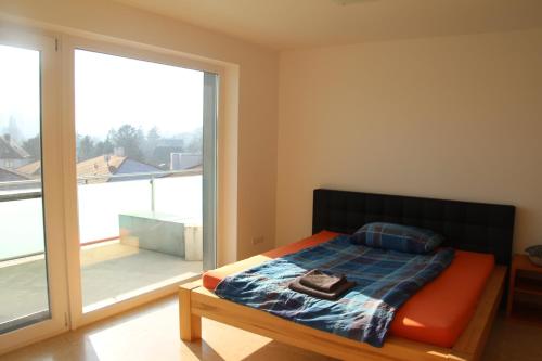 Danube Apartment with City View