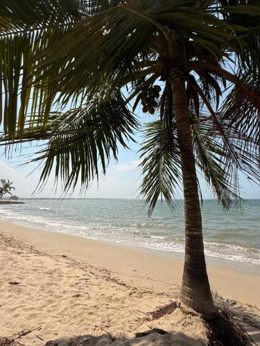 ชายหาด, Aira Hotel in โกเวนัส