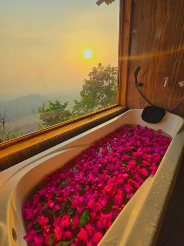 Sheari Eco Cottage Sajek in Rangamati