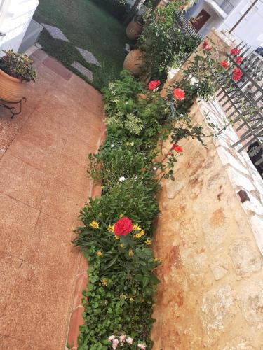 Garden, studio yannis leonidas in Mpournias