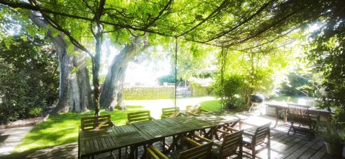 Magnifique Mas avec Piscine et Hammam à 5 min d'Uzès (Magnifique Mas avec Piscine et Hammam a 5 min d'Uzes) in Montaren-et-Saint-Mediers
