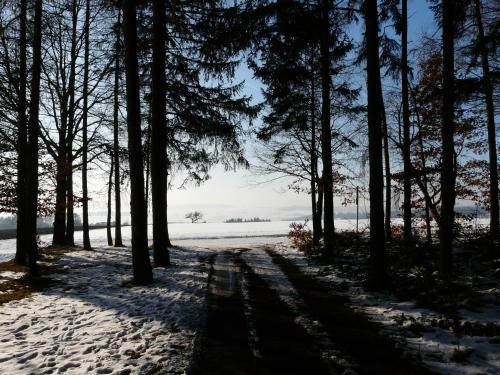 Surrounding environment, Ferienwohnung Udo und Stefani Laux in Berg