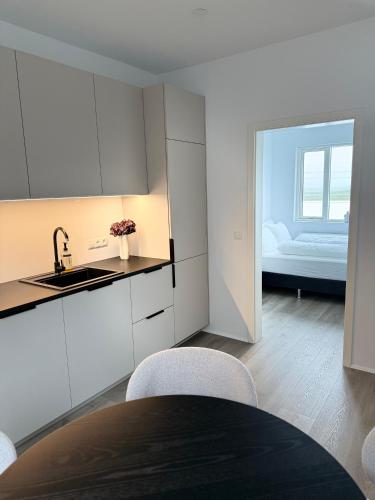 New Modern Two bedroom Apartment in Hveragerdhi