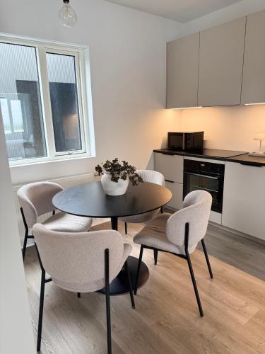 New Modern Two bedroom Apartment in Hveragerdhi
