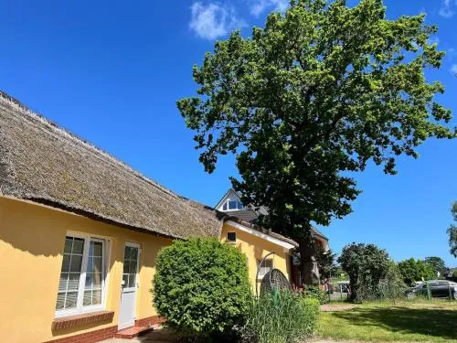 Appartementhaus Kathrin, Wieck am Darß in Wieck, Deutschland
