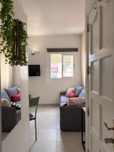 MODERN COMFORT RENOVATED CANTERAS