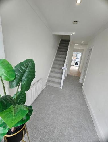 Mirandas Place in Gillingham