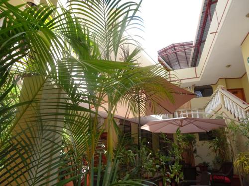 Hotel Red Booby