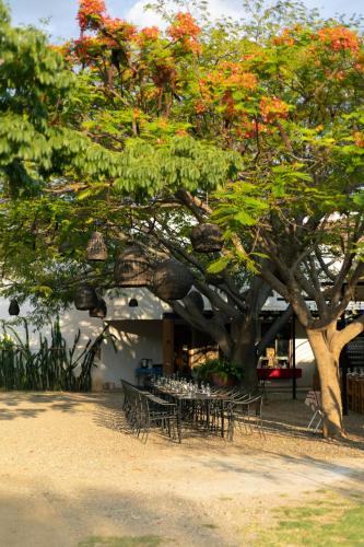 Iekārtas, Casa Gulal in Matias Romero
