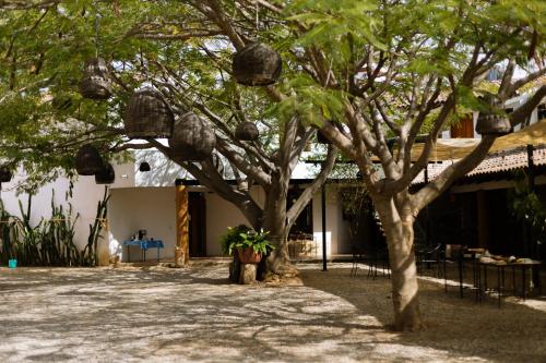 Casa Gulal in Matias Romero