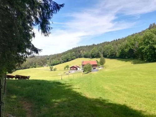 Berghof in Viechtach, Deutschland