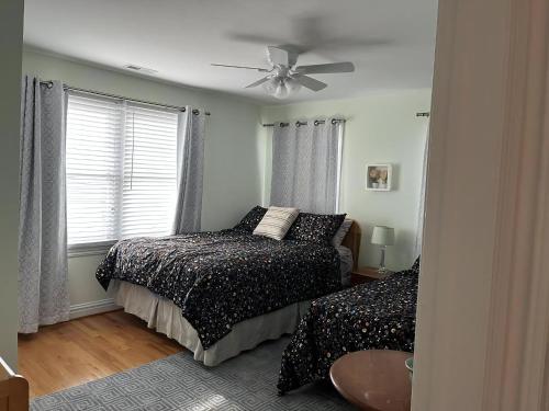 Bayside Gem - image 13