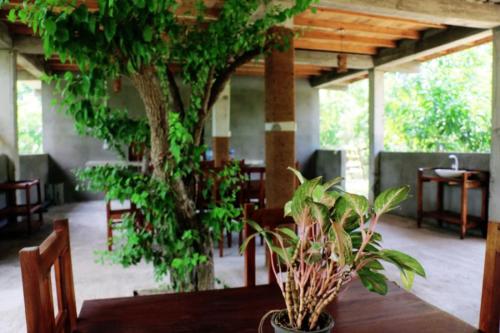 Lavish Eco Jungle photo