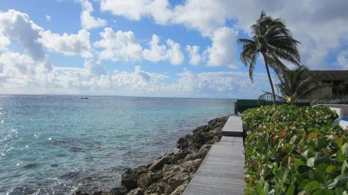 View, Eden Blue in Sainte Anne