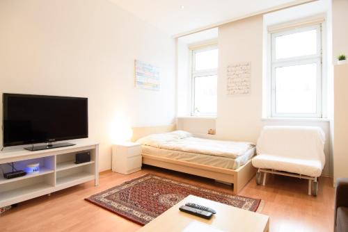 Vienna City Apartment Dampfgasse, Vídeň