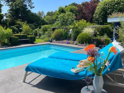 Swimming pool, B&B Vincent's huisje in Bergen