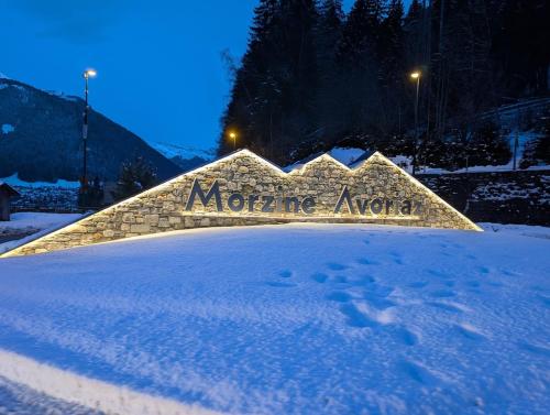 Les Portes du Soleil Studio in Le Biot