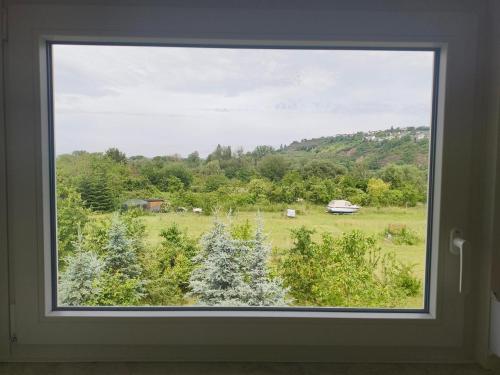 Inselappartement in Weitersburg