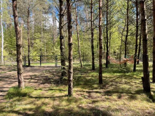 Apkārtne, Domek w Miętkich Mazury (Domek w Mietkich Mazury) in Kaleczyn