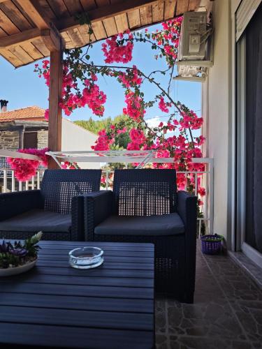 Elina House and Garden 4