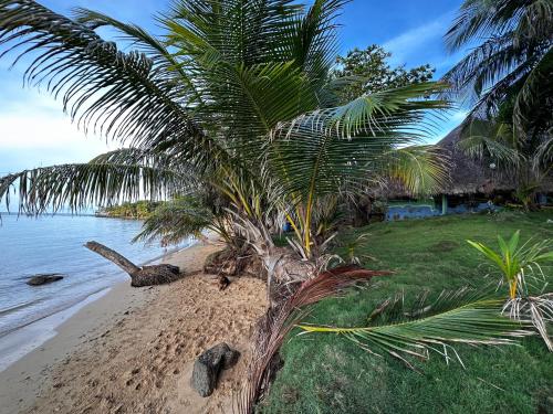 Fasilitas, Natural Suites ENSUEÑOS Natural Reserve (Natural Suites ENSUENOS Natural Reserve) in Little Corn Island