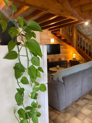 La grange de Marie in Ornolac Ussat Les Bains