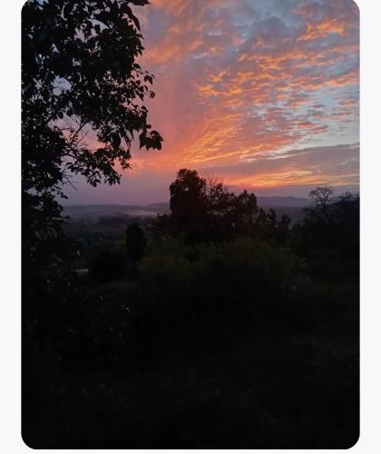 The Unhurried Stay in Kotabagh