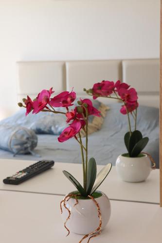 Milla Luxury Apartment