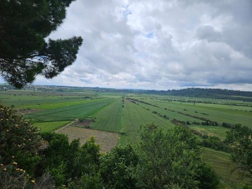 L apparté au midi (L apparte au midi) in Montady