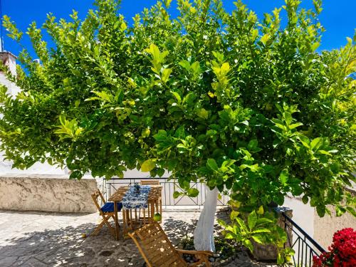 Pano Chorio Tilos in Tilosa