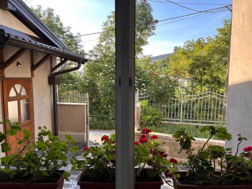 Nature In The City 1BR APT 5min walk to City Hall, Free Parking
