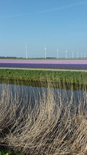 Vredehof in Sint Maartensbrug
