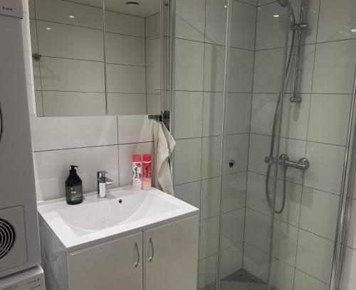 Modern Apartment with Sunny Balcony near Public Transport in Ullern