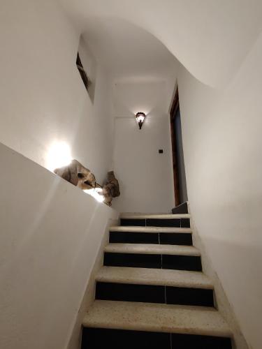 the family house