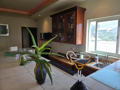 Large Balcony Beach House in Playa Hermosa