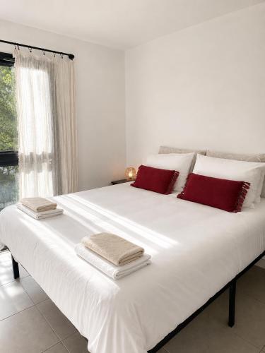 Oasis Blue Perpignan Canet 5