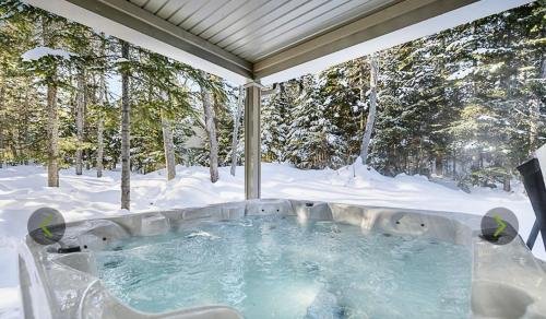 Le Grand Monique Spa Baby-Foot & Massif in Petite-Riviere-Saint-Francois (QC)