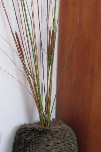 Résidence Ocean Dream