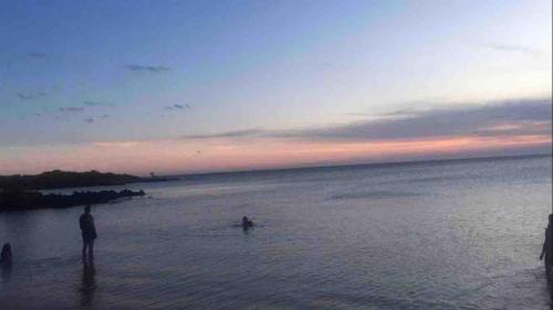 Ape aconchegante em Castelhanos in Anchieta
