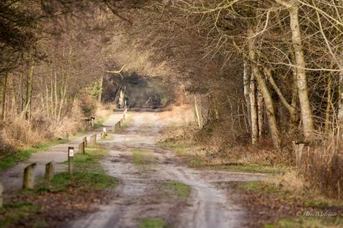 B&B De Hagmolenbeek Boekelo – Boekelo, TX