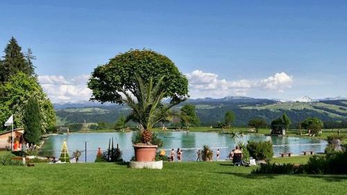 FeWo "zur kuuhlen Aussicht", Oberreute in Weiler-Simmerberg